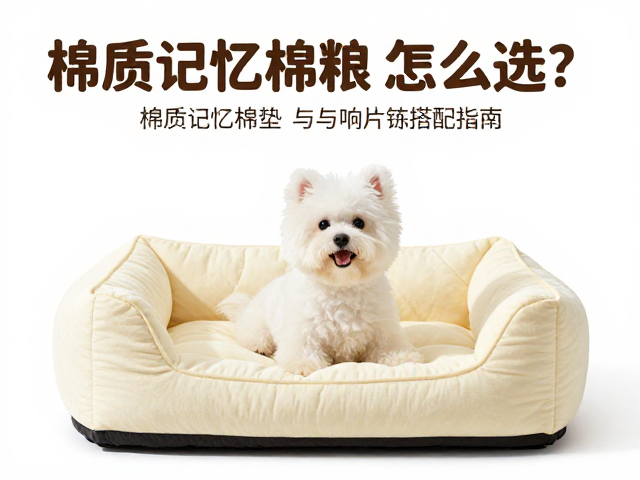 狗粮怎么选?棉质记忆棉宠物窝垫与响片训练搭配指南