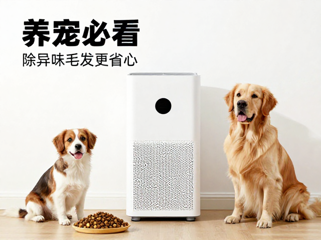 养宠必看，狗粮、宠物零食搭配空气净化器，除异味毛发更省心