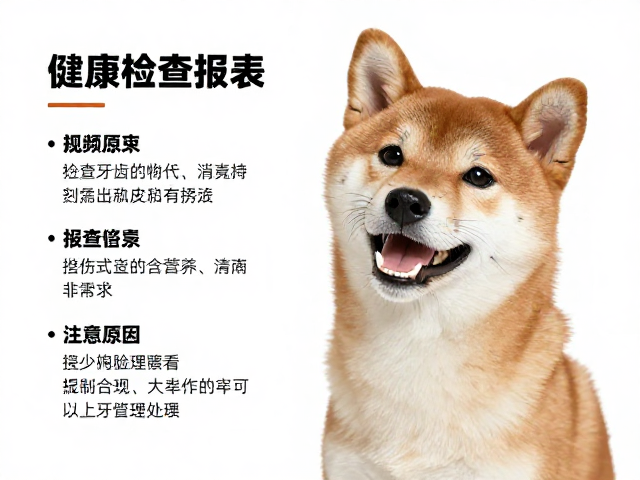 柴犬起源与健康,幼犬牙齿清洁指南,健康检查报告解读
