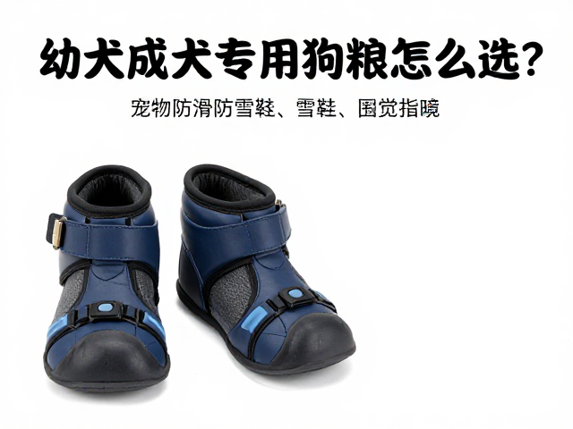 幼犬成犬专用狗粮怎么选？宠物防滑防雪鞋选购指南