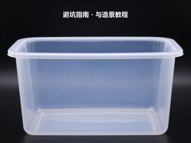 塑料整理箱改雨林缸?裸缸布置避坑指南与造景教程