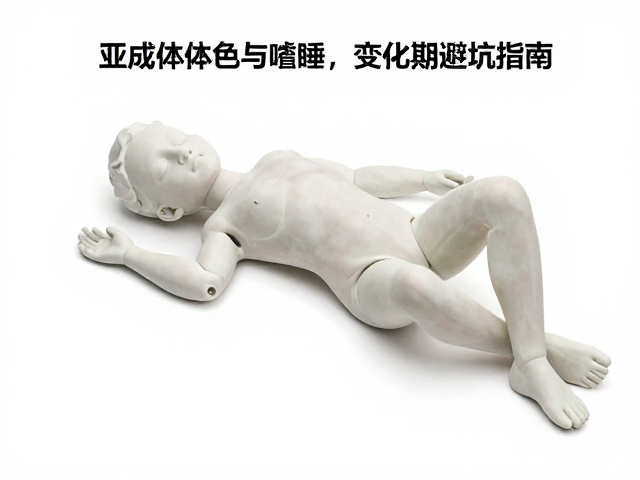 亚成体体色纯度与嗜睡,色泽变化期避坑指南