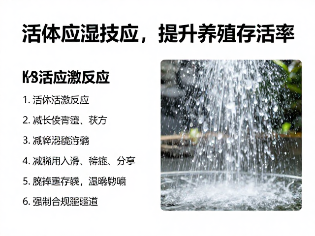 活体饵料喷雾保湿技巧,减少应激反应,提升养殖存活率