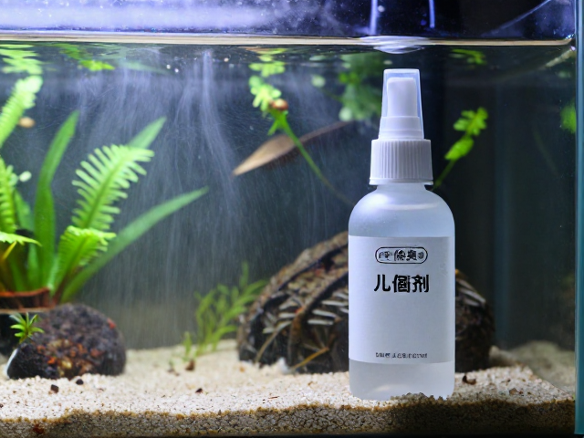 裸缸布置加加湿盒除臭剂,打造无味清新爬虫微景观