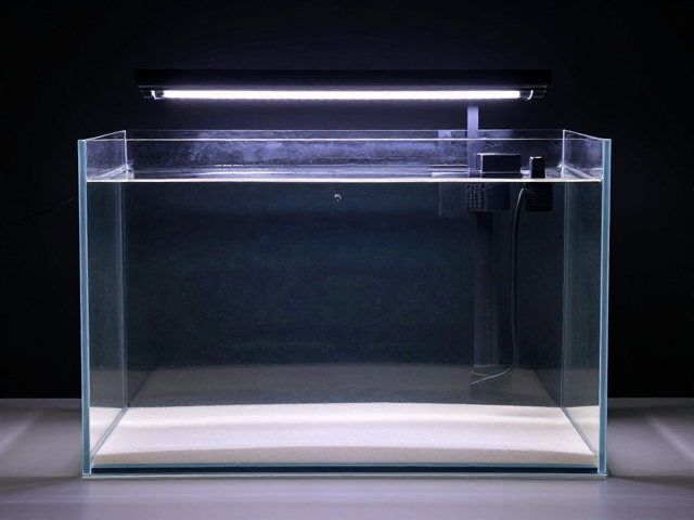 裸缸布置灵感,亚克力饲养盒,水盆,打造高颜值宠物生态造景