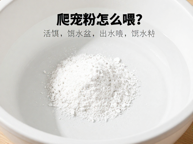 爬宠钙粉怎么喂?活饵,饮水盆清洁全攻略,避坑指南