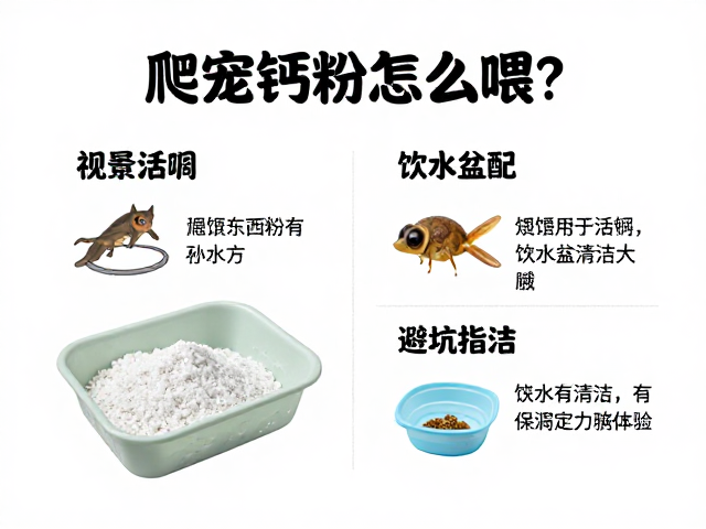 爬宠钙粉怎么喂?活饵,饮水盆清洁全攻略,避坑指南