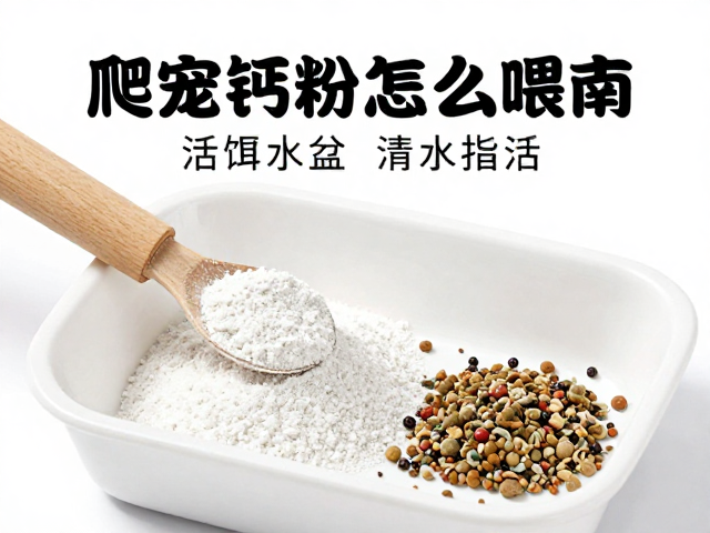 爬宠钙粉怎么喂?活饵,饮水盆清洁全攻略,避坑指南