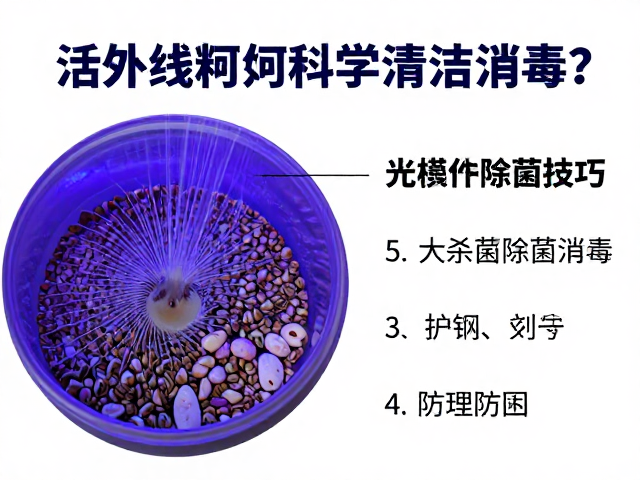 活体饵料与饲料如何科学清洁消毒?5大杀菌除菌技巧