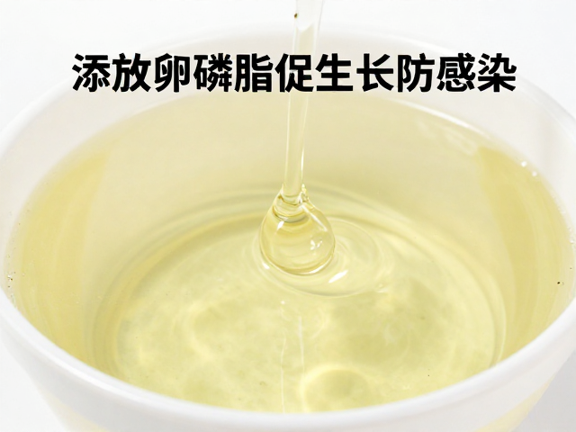 活体饵料清洁消毒技巧,添加卵磷脂促生长防感染