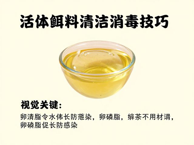 活体饵料清洁消毒技巧,添加卵磷脂促生长防感染