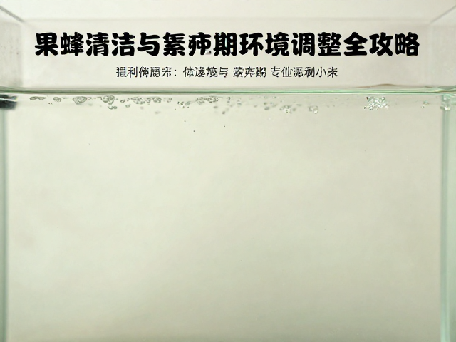 果蝇线虫爆发?缸体清洁与繁殖期环境调整全攻略