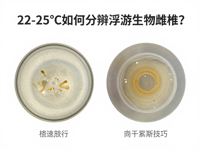 22-25℃如何分辨浮游生物雌雄？专家揭秘性别识别技巧