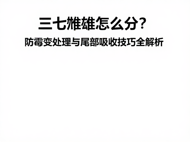三七雌雄怎么分？防霉变处理与尾部吸收技巧全解析