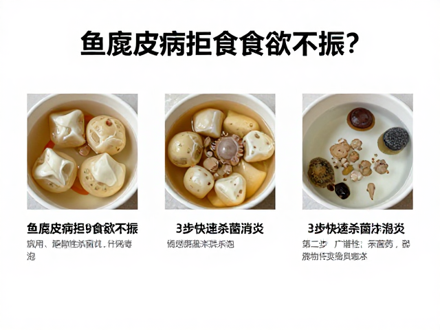 鱼腐皮病拒食食欲不振?真菌感染引发,3步快速杀菌消炎