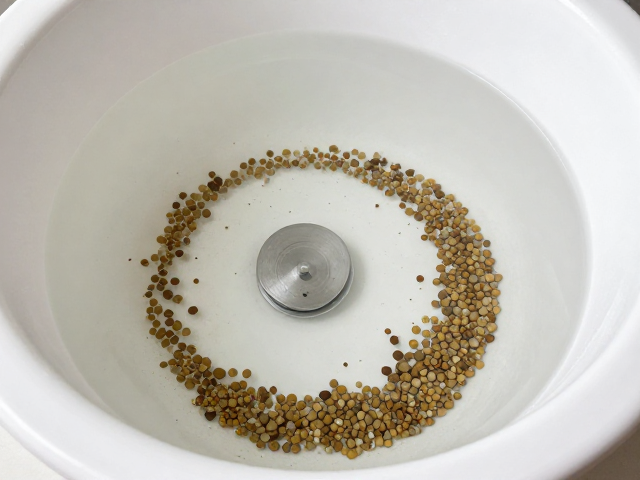 活体饵料致饮水盆脏？病期少食禁食时如何清洁防感染