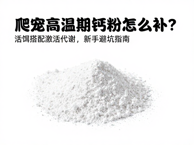爬宠高温期钙粉怎么补？活饵搭配激活代谢，新手避坑指南