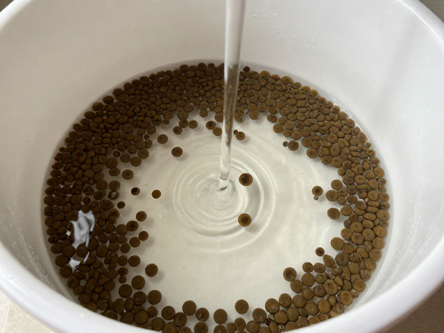 活体饵料致饮水盆脏？病期少食禁食时如何清洁防感染