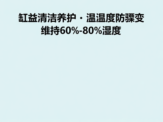 缸体清洁与养护,控制温湿度防骤变,维持60%-80%湿度是关键