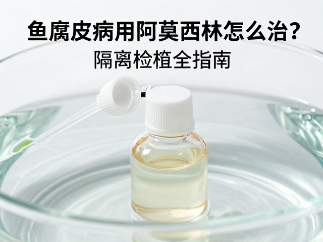 鱼腐皮病用阿莫西林怎么治?隔离检疫全指南