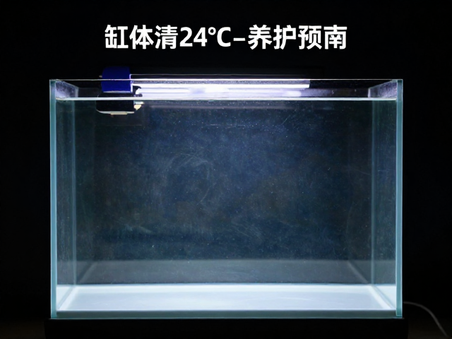 缸体清洁后寿命预期,夜间20-24°C养护指南