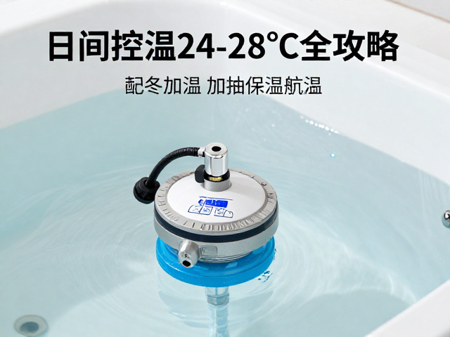 缸体清洁与冬眠加温，日间控温24-28&deg;C全攻略