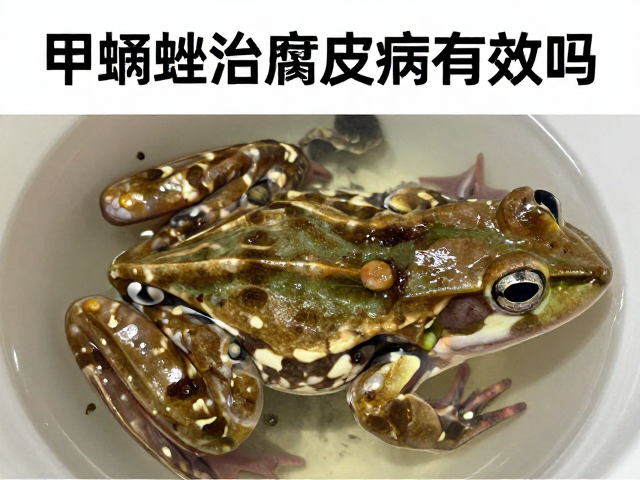 甲硝唑治腐皮病有效吗?病蛙隔离消毒全指南