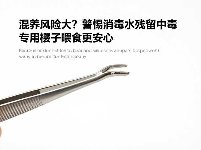 混养风险大?警惕消毒水残留中毒,专用镊子喂食更安心