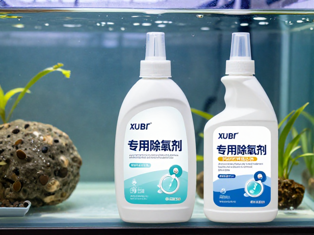 混养风险大?常见皮肤病识别指南与专用除氯剂选购