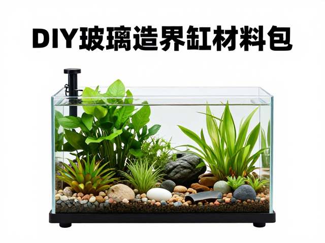 DIY玻璃饲养缸材料包，新手自制生态缸教程与选材指南