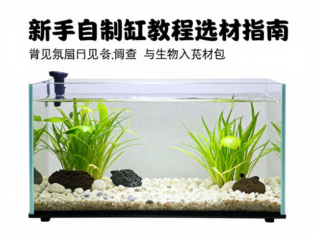 DIY玻璃饲养缸材料包，新手自制生态缸教程与选材指南