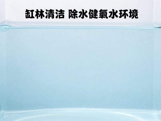 缸体清洁与除氯水选择，通风防逃打造健康水环境