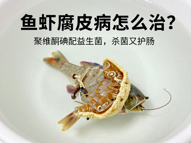 鱼虾腐皮病怎么治?聚维酮碘配益生菌,杀菌又护肠