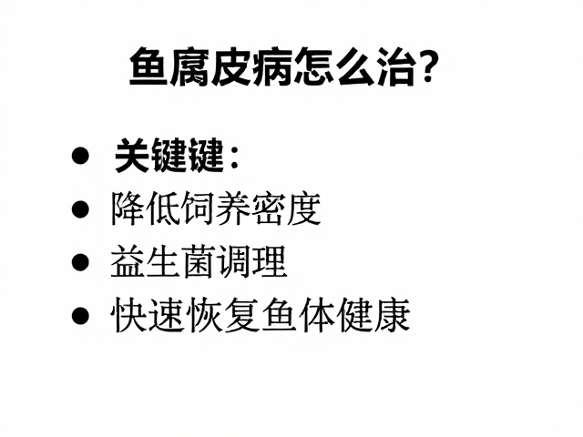 鱼腐皮病怎么治?降低饲养密度,益生菌调理,快速恢复鱼体健康