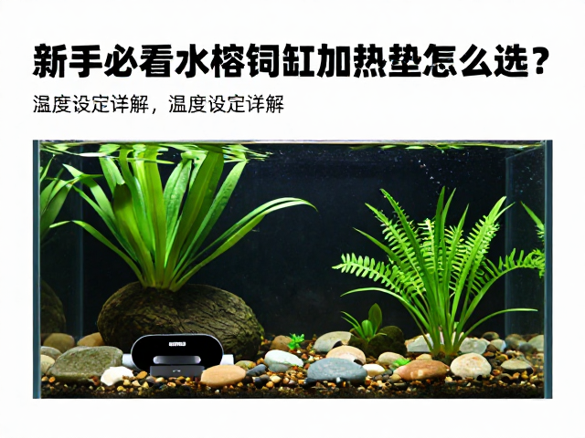 新手必看,水榕饲养缸加热垫怎么选?温度设定详解