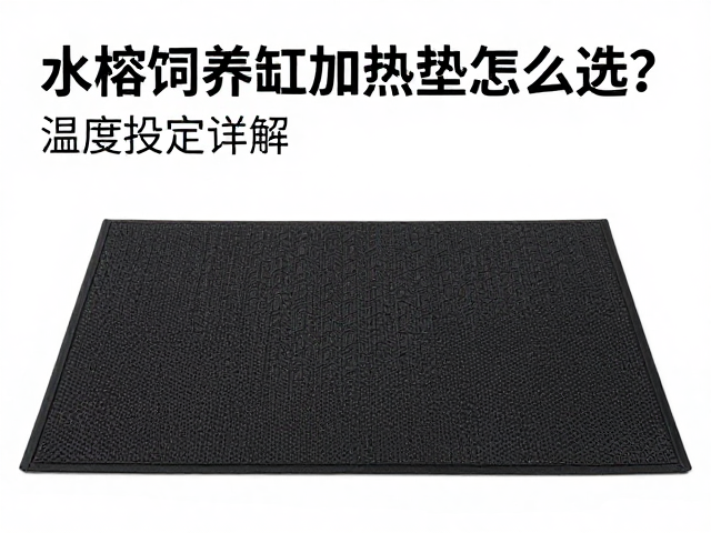 新手必看,水榕饲养缸加热垫怎么选?温度设定详解