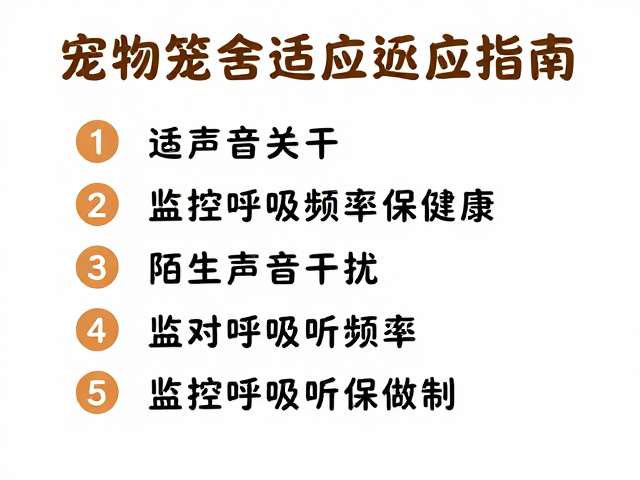 宠物笼舍适应期指南,应对陌生声音干扰,监控呼吸频率保健康
