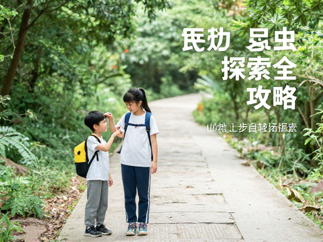 亲子徒步指南,山地步道昆虫探索全攻略,轻松带娃亲近自然
