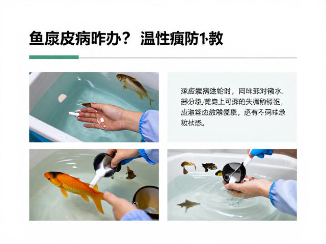 鱼腐皮病咋办？温差应激致营养失衡，预防与急救全攻略