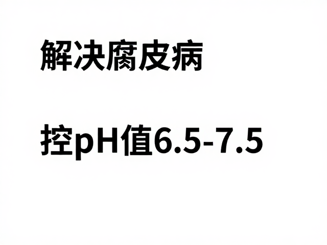解决腐皮病,控pH值6.5-7.5,避免频繁打扰