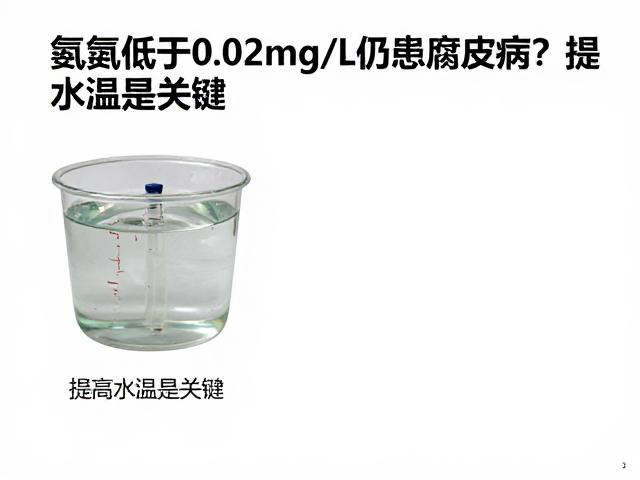 氨氮低于0.02mg/L仍患腐皮病?提高水温是关键