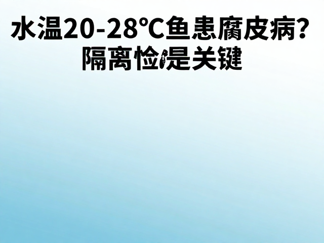 水温20-28℃鱼患腐皮病?隔离检疫是关键