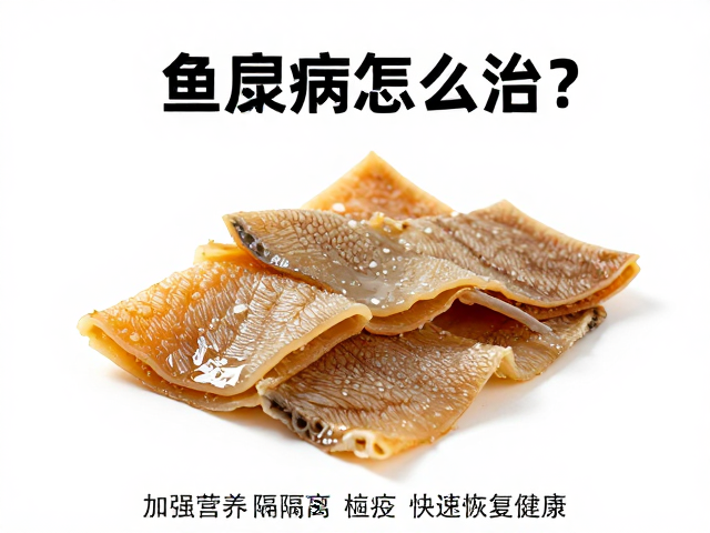 鱼腐皮病怎么治?加强营养隔离检疫,快速恢复健康