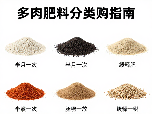 多肉肥料怎么选？液肥半月一次，缓释肥全品类分类选购指南
