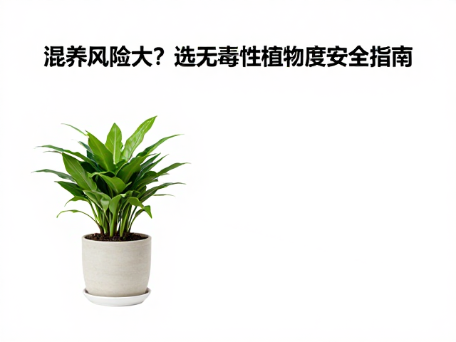 混养风险大?选无毒性植物,保持50%-80%湿度安全指南