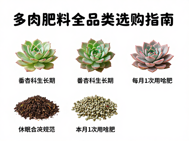 多肉肥料全品类选购指南，番杏科生长期每月1次用啥肥？