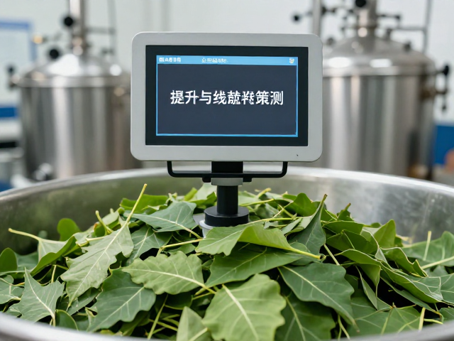 在线监测技术与纯度数据的实时解析