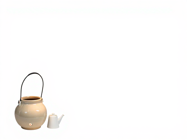 饲养缸配陶瓷加热灯与小喷壶，爬宠饲养指南