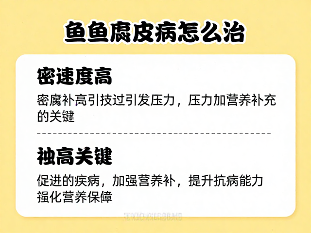 鱼腐皮病怎么治?密度过高引发压力,加强营养补充是关键