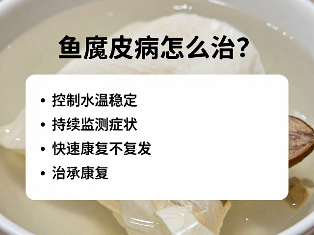 鱼腐皮病怎么治?控制水温稳定,持续监测症状,快速康复不复发